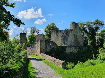 Burg Nippenburg, Stuttgart