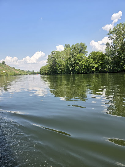Schiffsanlegestelle Max-Eyth-See, Stuttgart